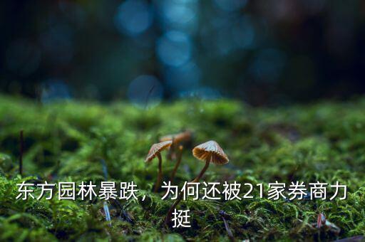 東方園林暴跌，為何還被21家券商力挺