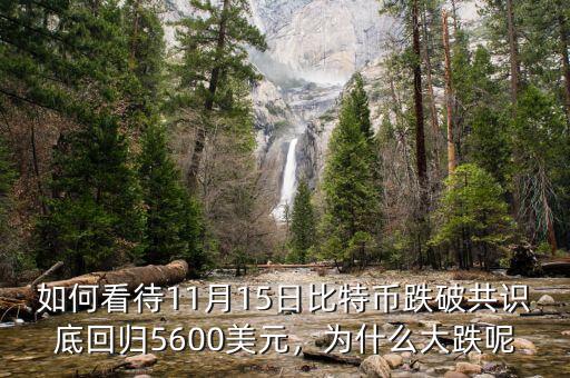 如何看待11月15日比特幣跌破共識底回歸5600美元，為什么大跌呢