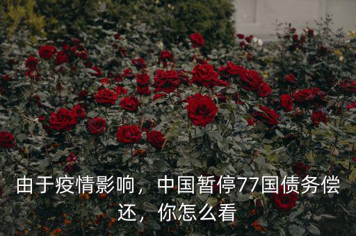 由于疫情影響，中國(guó)暫停77國(guó)債務(wù)償還，你怎么看