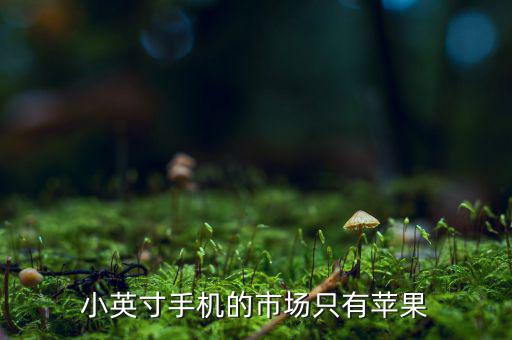 小英寸手機(jī)的市場(chǎng)只有蘋(píng)果