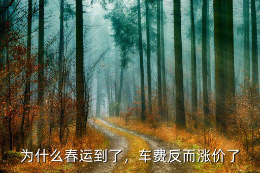 為什么春運到了，車費反而漲價了