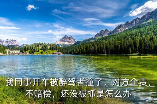 我同事開車被醉駕者撞了，對方全責(zé)，不賠償，還沒被抓是怎么辦