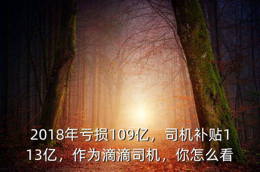 2018年虧損109億，司機補貼113億，作為滴滴司機，你怎么看