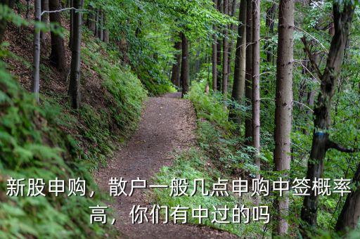 新股申購，散戶一般幾點申購中簽概率高，你們有中過的嗎