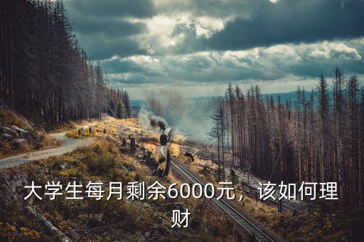 大學生每月剩余6000元，該如何理財
