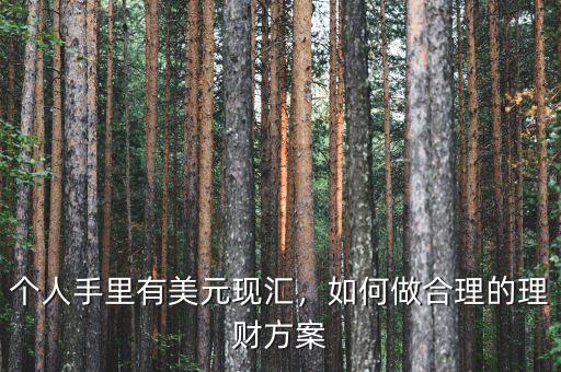個人手里有美元現(xiàn)匯，如何做合理的理財方案