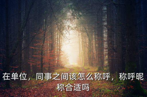 在單位，同事之間該怎么稱呼，稱呼昵稱合適嗎