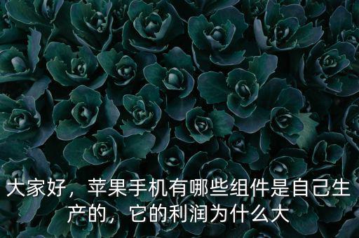 大家好，蘋果手機有哪些組件是自己生產(chǎn)的，它的利潤為什么大