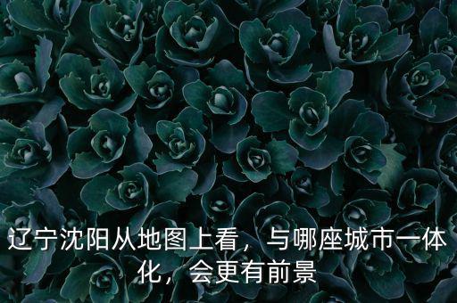 遼寧沈陽從地圖上看，與哪座城市一體化，會更有前景