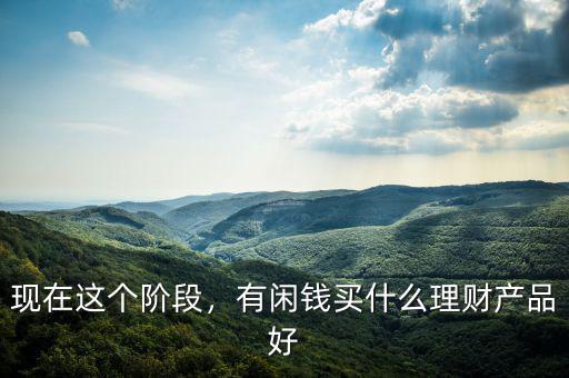 現(xiàn)在這個階段，有閑錢買什么理財產(chǎn)品好
