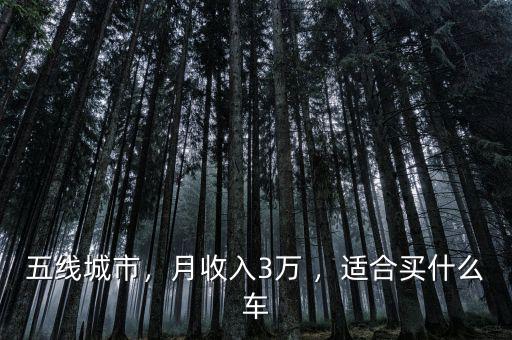 五線城市，月收入3萬(wàn) ，適合買什么車