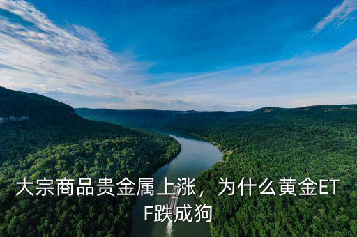 大宗商品貴金屬上漲，為什么黃金ETF跌成狗