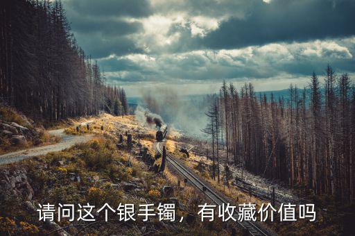 請問這個(gè)銀手鐲，有收藏價(jià)值嗎