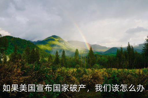 如果美國(guó)宣布國(guó)家破產(chǎn)，我們?cè)撛趺崔k