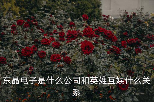 東晶電子是什么公司和英雄互娛什么關系