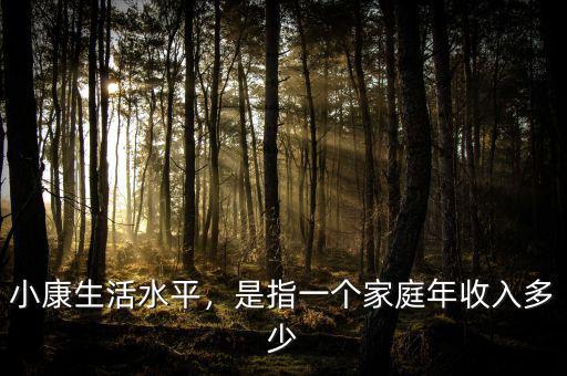 小康生活水平，是指一個家庭年收入多少