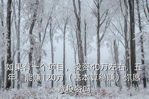 如果有一個項(xiàng)目，投資40萬左右，五年，能賺120萬（基本算穩(wěn)賺）你愿意投資嗎