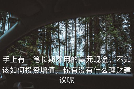 手上有一筆長期不用的美元現(xiàn)金，不知該如何投資增值，你有沒有什么理財建議呢