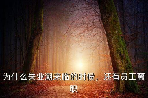 為什么失業(yè)潮來臨的時(shí)候，還有員工離職