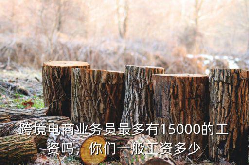 跨境電商業(yè)務(wù)員最多有15000的工資嗎，你們一般工資多少
