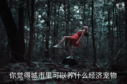 家里養(yǎng)什么寵物添財,想養(yǎng)一只寵物