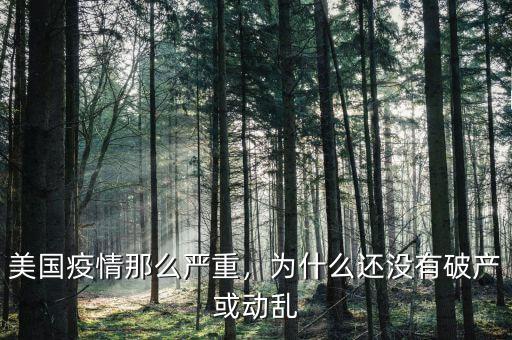 美國為什么不會破產,美國疫情那么嚴重