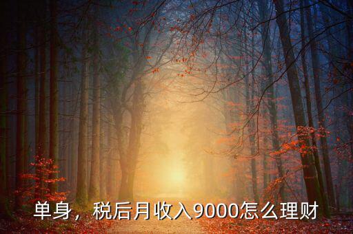 單身，稅后月收入9000怎么理財(cái)