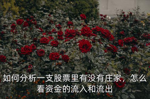 如何分析一支股票里有沒有莊家，怎么看資金的流入和流出