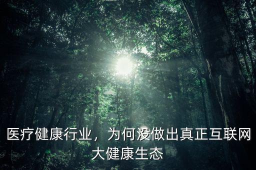 醫(yī)療健康行業(yè)，為何沒(méi)做出真正互聯(lián)網(wǎng)大健康生態(tài)