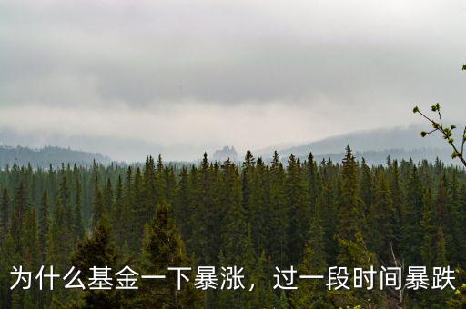 為什么基金一下暴漲，過(guò)一段時(shí)間暴跌