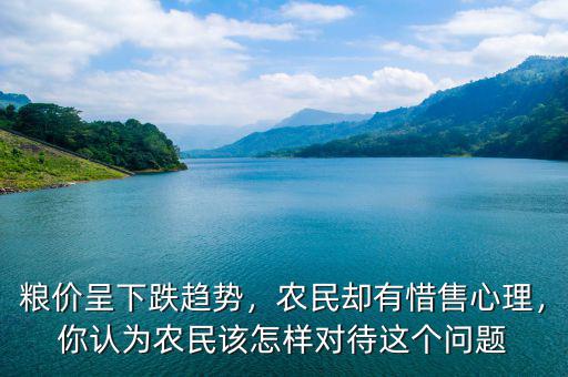 糧價呈下跌趨勢，農(nóng)民卻有惜售心理，你認為農(nóng)民該怎樣對待這個問題