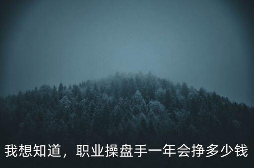 我想知道，職業(yè)操盤(pán)手一年會(huì)掙多少錢(qián)