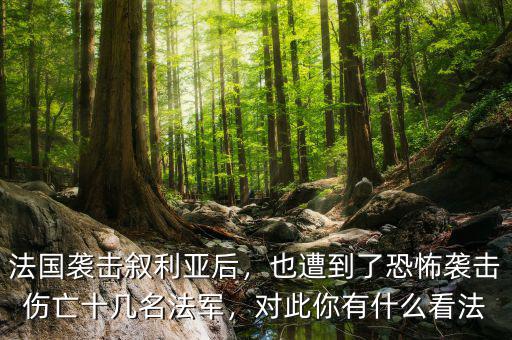 法國襲擊敘利亞后，也遭到了恐怖襲擊傷亡十幾名法軍，對此你有什么看法
