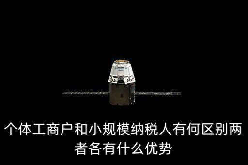 個(gè)體工商戶和小規(guī)模納稅人有何區(qū)別兩者各有什么優(yōu)勢(shì)