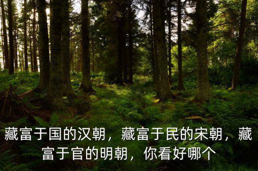 藏富于國(guó)的漢朝，藏富于民的宋朝，藏富于官的明朝，你看好哪個(gè)