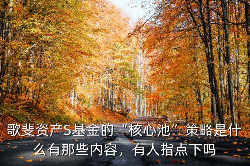 歌斐資產(chǎn)S基金的“核心池”策略是什么有那些內(nèi)容，有人指點(diǎn)下嗎
