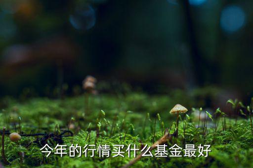 今年的行情買(mǎi)什么基金最好