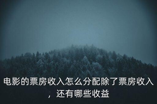 電影的票房收入怎么分配除了票房收入，還有哪些收益