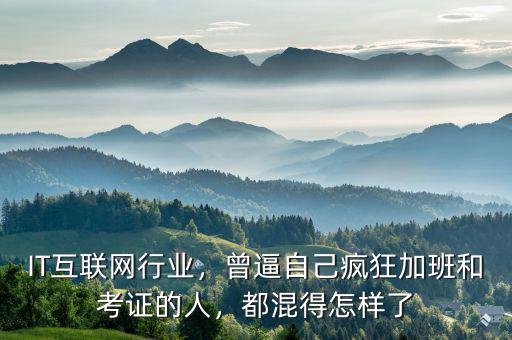 IT互聯(lián)網(wǎng)行業(yè)，曾逼自己瘋狂加班和考證的人，都混得怎樣了