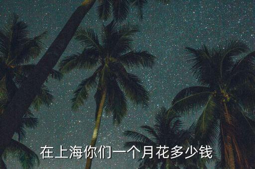 在上海一個月生活費(fèi)多少,在上海你們一個月花多少錢