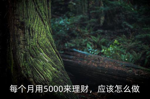 每個月用5000來理財，應(yīng)該怎么做