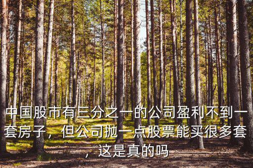 中國(guó)股市有三分之一的公司盈利不到一套房子，但公司拋一點(diǎn)股票能買很多套，這是真的嗎