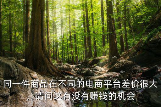 同一件商品在不同的電商平臺差價很大，請問這有沒有賺錢的機會
