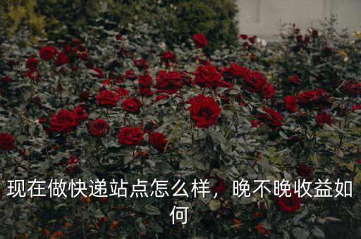 現(xiàn)在做快遞站點(diǎn)怎么樣，晚不晚收益如何