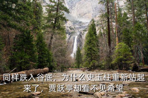同樣跌入谷底，為什么史玉柱重新站起來了，賈躍亭卻看不見希望