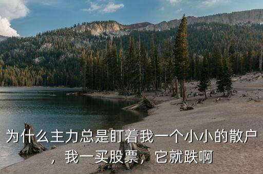 為什么主力總是盯著我一個小小的散戶，我一買股票，它就跌啊