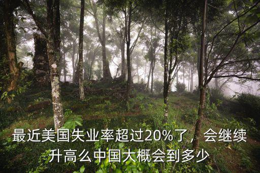 最近美國失業(yè)率超過20%了，會繼續(xù)升高么中國大概會到多少