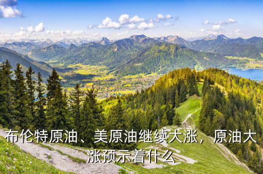 布倫特原油、美原油繼續(xù)大漲，原油大漲預(yù)示著什么