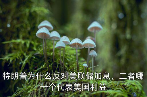 特朗普為什么反對(duì)美聯(lián)儲(chǔ)加息，二者哪一個(gè)代表美國(guó)利益