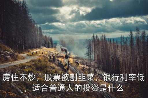 房住不炒，股票被割韭菜，銀行利率低，適合普通人的投資是什么